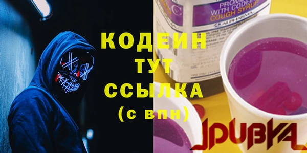 ПСИЛОЦИБИНОВЫЕ ГРИБЫ Вяземский