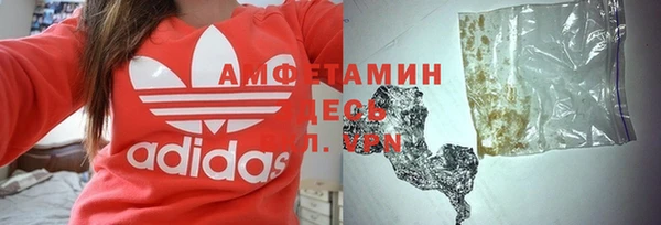 ПСИЛОЦИБИНОВЫЕ ГРИБЫ Вязники