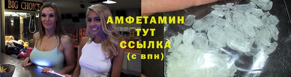 ПСИЛОЦИБИНОВЫЕ ГРИБЫ Вяземский