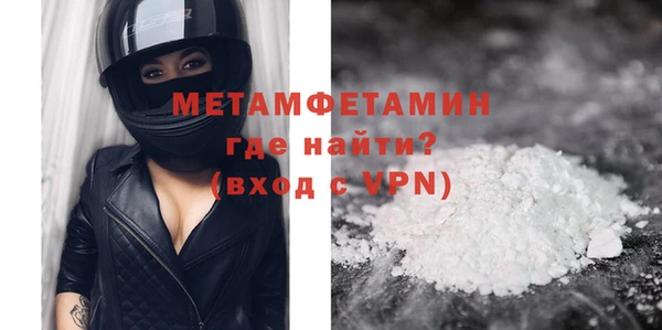 ПСИЛОЦИБИНОВЫЕ ГРИБЫ Вяземский