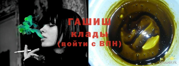 ПСИЛОЦИБИНОВЫЕ ГРИБЫ Вязники