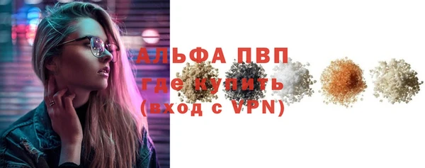 ПСИЛОЦИБИНОВЫЕ ГРИБЫ Вязники