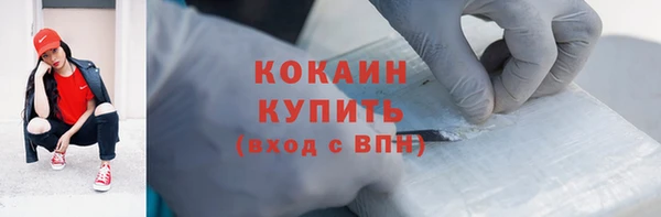 ПСИЛОЦИБИНОВЫЕ ГРИБЫ Вяземский