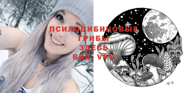 мяу мяу мука Вязьма