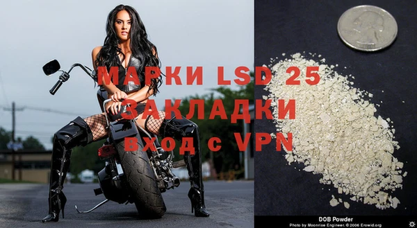 ПСИЛОЦИБИНОВЫЕ ГРИБЫ Вязники
