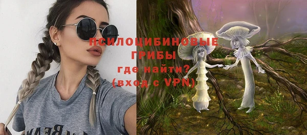ПСИЛОЦИБИНОВЫЕ ГРИБЫ Вязники