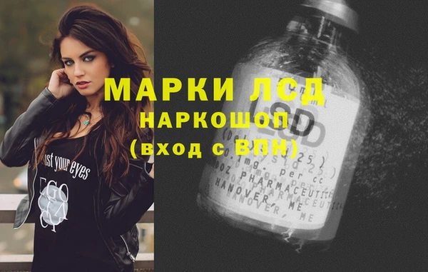 мяу мяу мука Вязьма