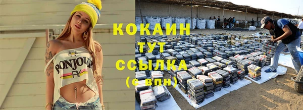 ПСИЛОЦИБИНОВЫЕ ГРИБЫ Вяземский