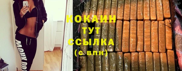 ПСИЛОЦИБИНОВЫЕ ГРИБЫ Вяземский