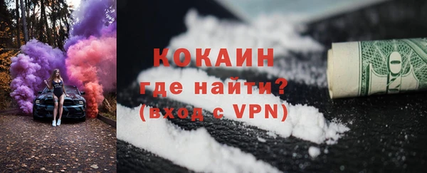 ПСИЛОЦИБИНОВЫЕ ГРИБЫ Вязники