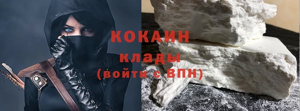 ПСИЛОЦИБИНОВЫЕ ГРИБЫ Вяземский